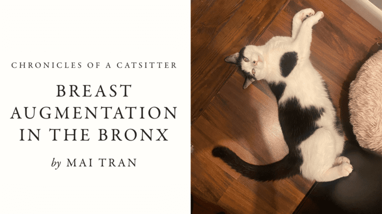 Chronicles Of A Catsitter: Breast Augmentation In The Bronx