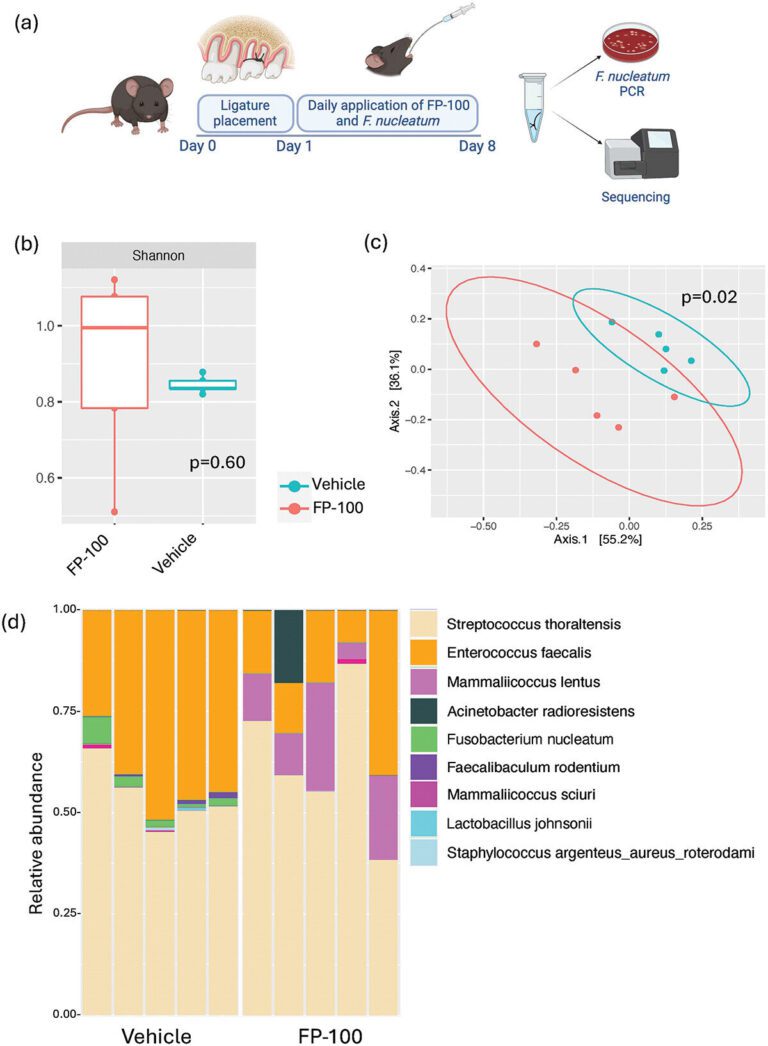 First Narrow Spectrum Antibiotic Successfully Eradicates Fusobacterium Nucleatum, A Gum Disease